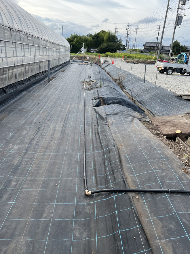 2022年7月観光いちご園ビニールハウスに給水工事を受注し完工しました