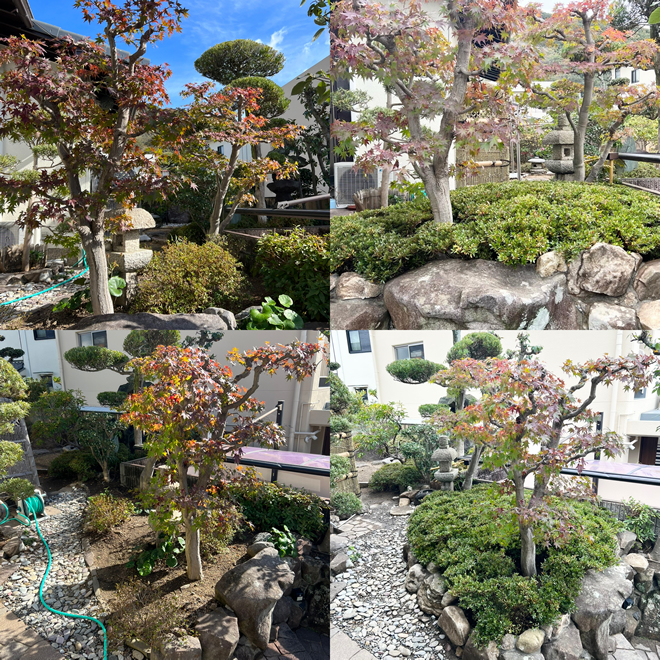 2022年11月、庭改修工事を受注し完工しました