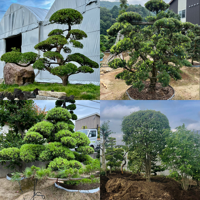 2022年11月、庭改修工事を受注し完工しました