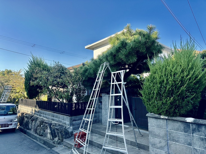 長年放置された門松も、弊社の手にかかればこの通り1