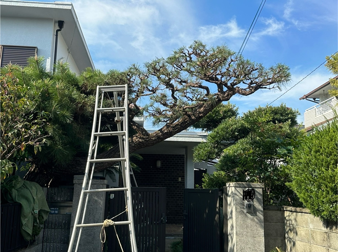 長年放置された門松も、弊社の手にかかればこの通り2