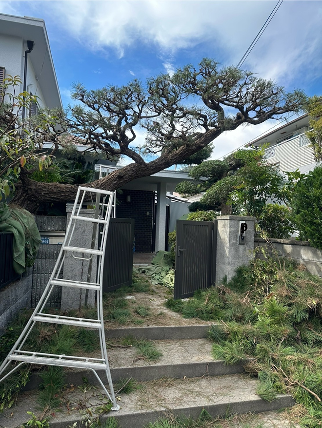 長年放置された門松も、弊社の手にかかればこの通り3