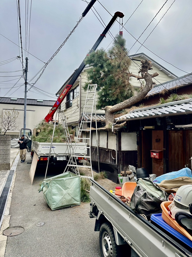 不要木の伐採もお任せください2