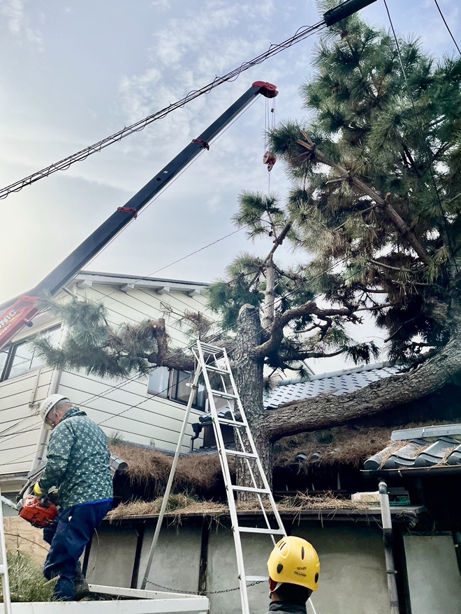 不要木の伐採もお任せください3