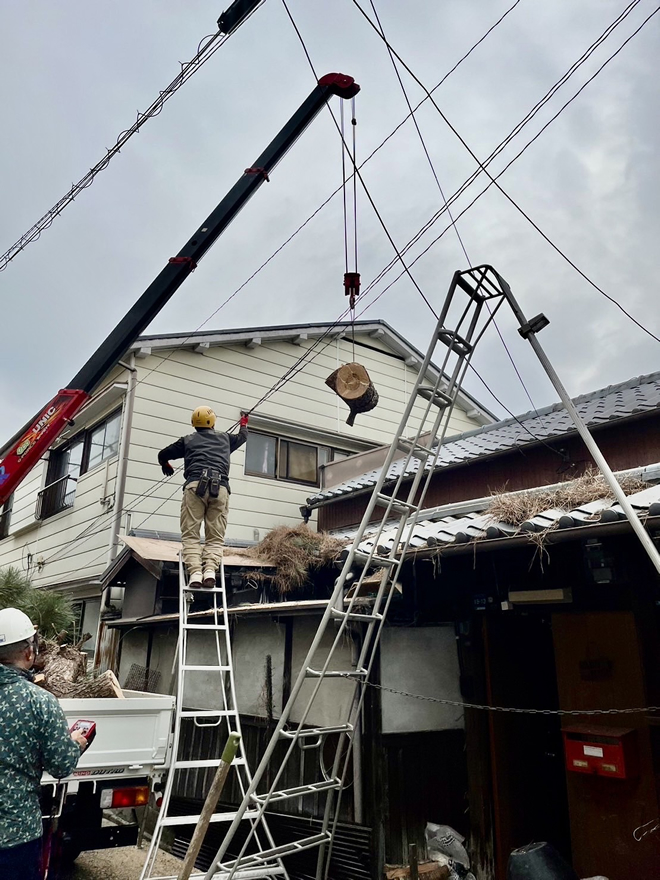 不要木の伐採もお任せください4