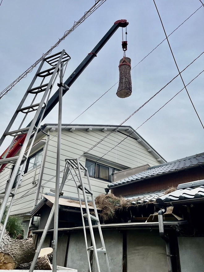 不要木の伐採もお任せください5