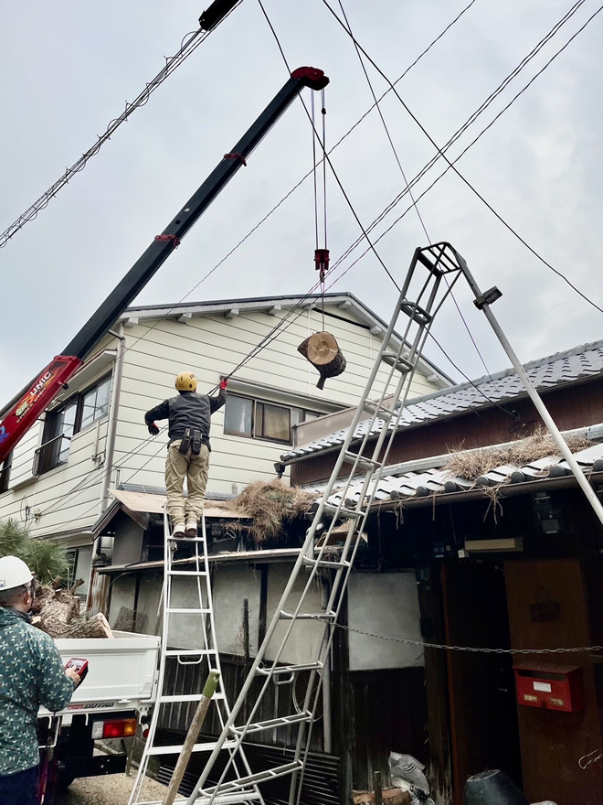 不要木の伐採もお任せください6