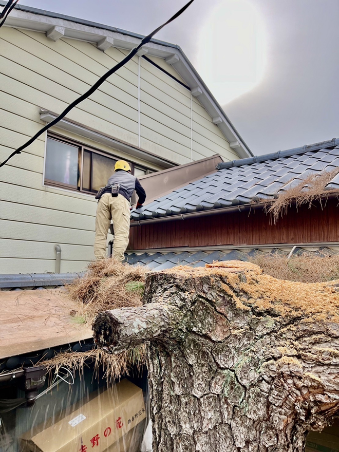 不要木の伐採もお任せください7