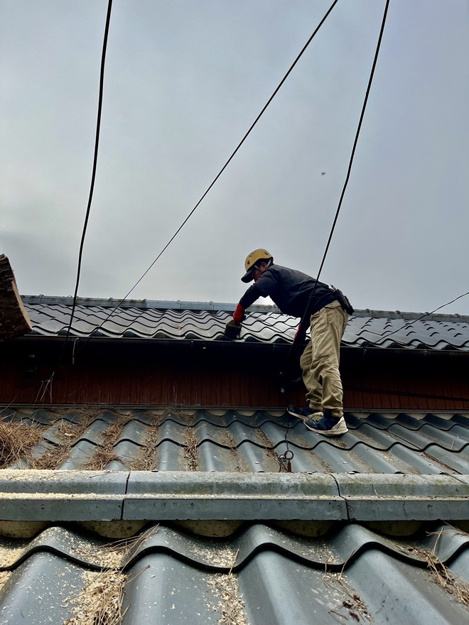 不要木の伐採もお任せください8