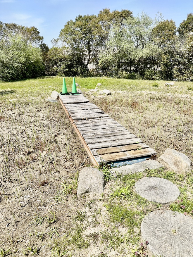 小学校学習園ビオトープの池に架かる橋の新しい板を取り付ける工事1