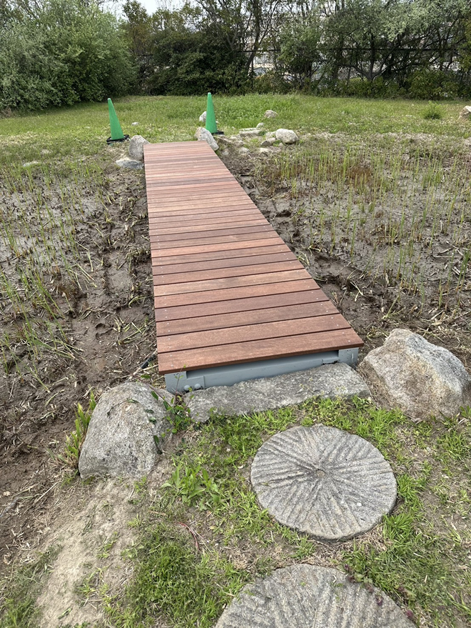 小学校学習園ビオトープの池に架かる橋の新しい板を取り付ける工事2