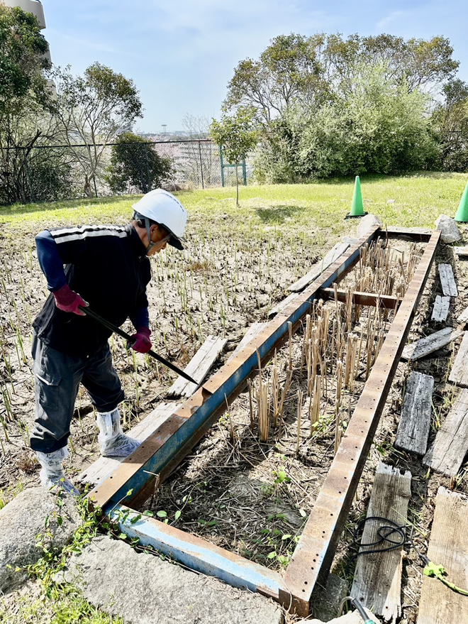 小学校学習園ビオトープの池に架かる橋の新しい板を取り付ける工事3