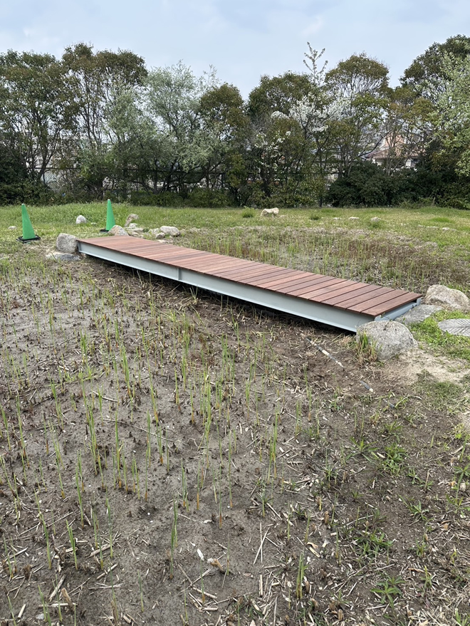 小学校学習園ビオトープの池に架かる橋の新しい板を取り付ける工事6