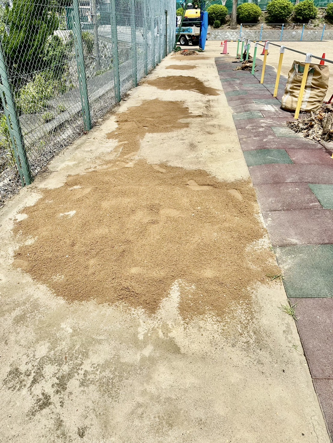 切り株切断撤去作業3